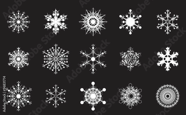 Obraz snowflake