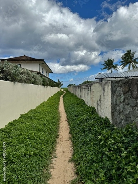 Fototapeta Beach path