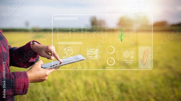 Fototapeta A person is using a tablet to look at a field of crops