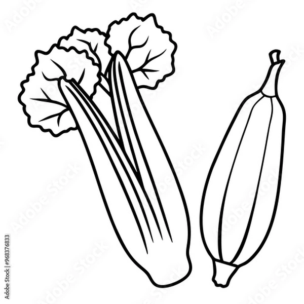 Fototapeta okra celery fennel vegetables outline coloring book page line art illustration digital drawing