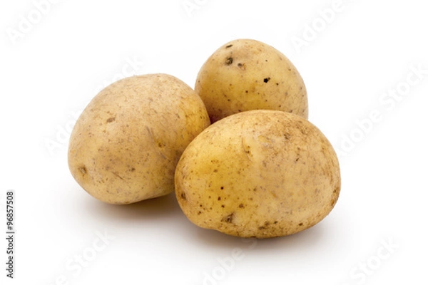 Obraz Potato isolated on white background close up.