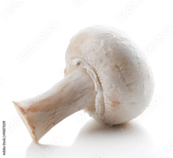 Fototapeta Champignon mushroom isolated on white background