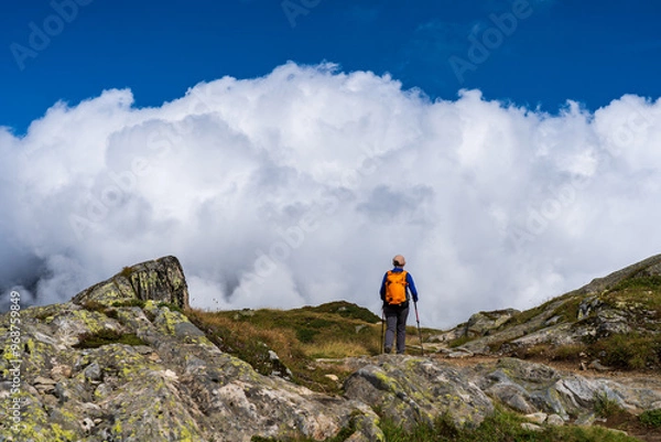 Obraz Schweiz Aletschgletscher