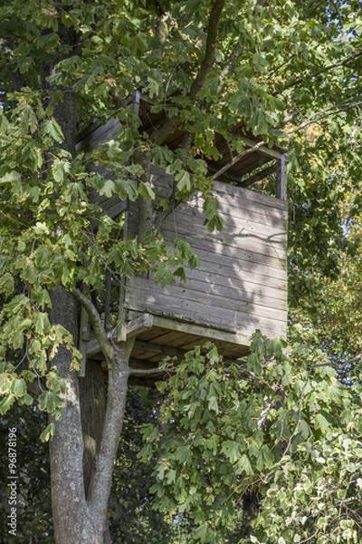 Fototapeta tree house