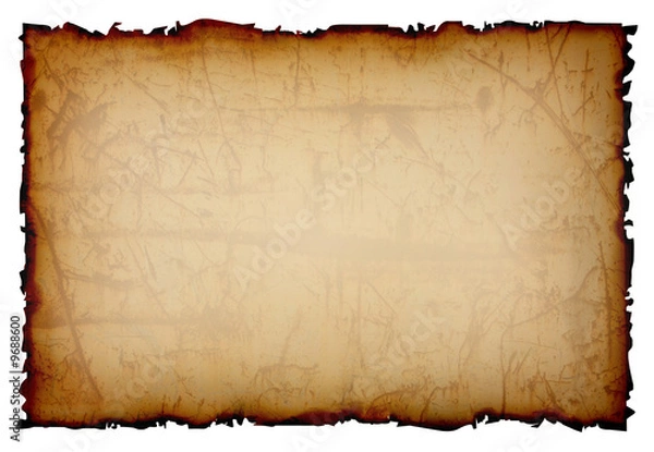 Obraz old paper