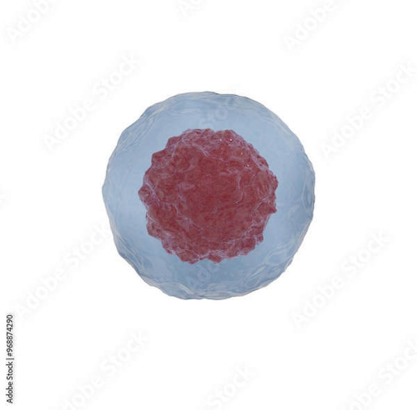 Obraz  red cell isolated in transparent background 3d render