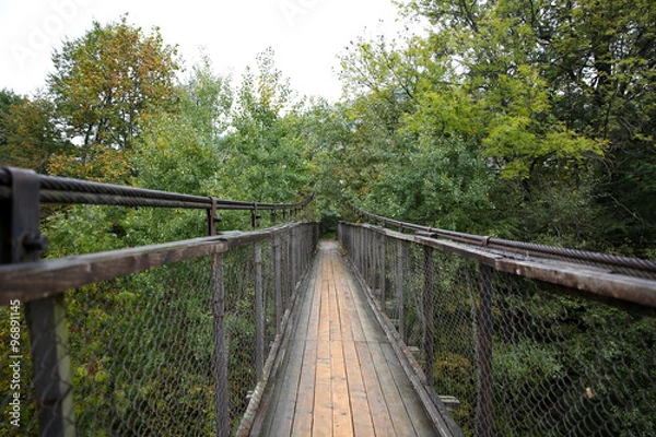 Obraz Rope bridge Carpathian Mountains, Ukraine