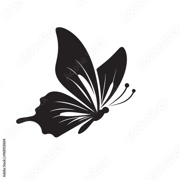 Obraz Butterfly silhouette. Butterfly logo vector design isolated on white background.