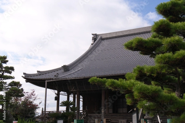 Obraz 秋空の竹鼻べつい