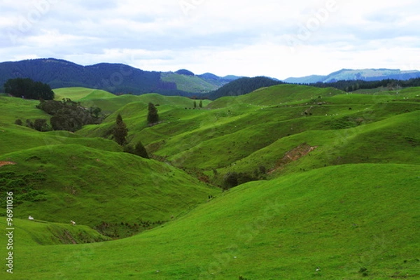 Obraz Green pastures