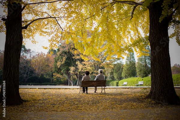 Obraz Grandparent in the Ginkgo Park