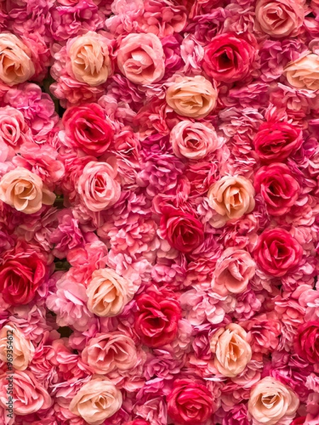 Obraz Profusion of artificial roses, arranged on a wall in an urban corridor, for shoppers and tourists to use freely as a background for Valentine photos and selfies on the spur of the moment