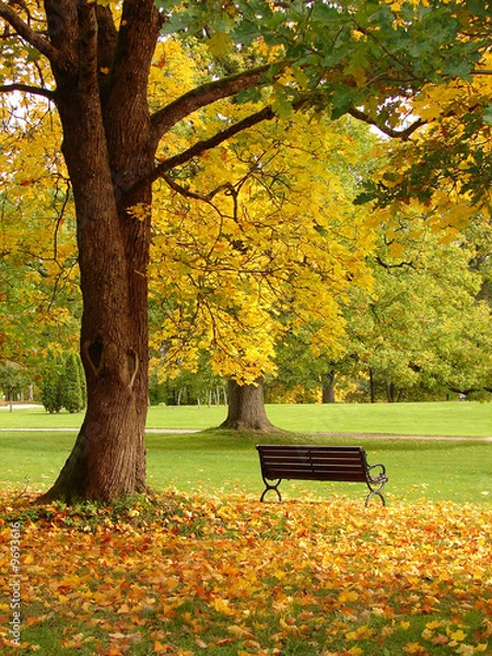 Obraz Park miejski jesienią