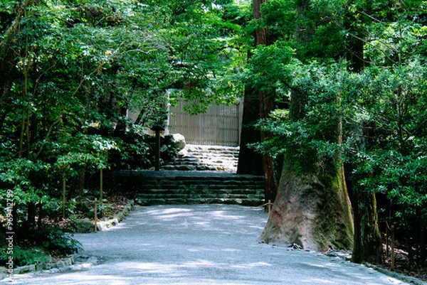 Fototapeta 公園の道