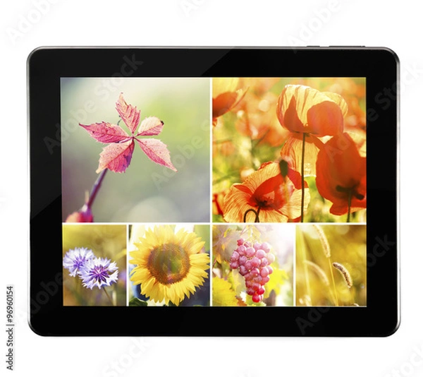 Obraz Tablet PC with images of nature objects, isolated on white