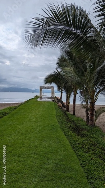 Fototapeta beach with trees