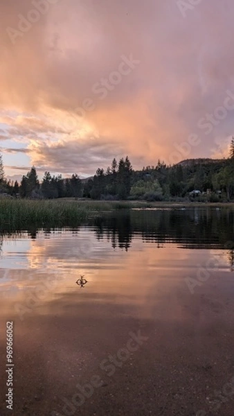 Fototapeta sunset over the river