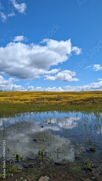 Fototapeta lake and sky
