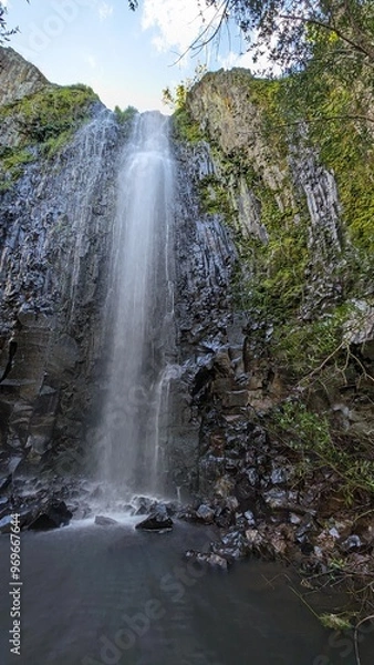 Fototapeta waterfall in the forest