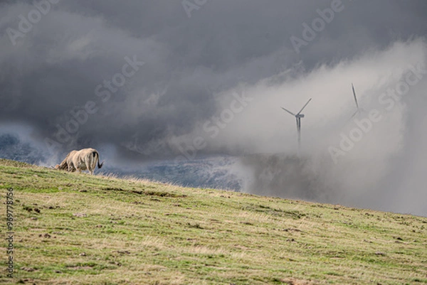 Fototapeta Panoramic view of Windmill farm in Spain, Picón Blanco.