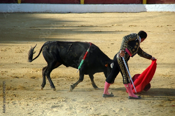 Obraz stierkampf