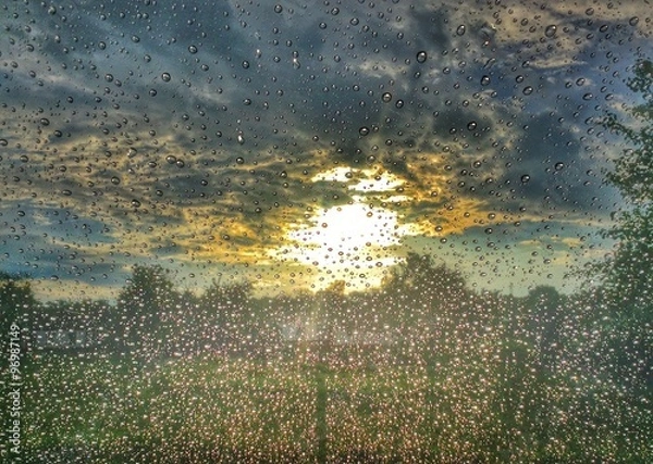 Obraz sunrise after rain