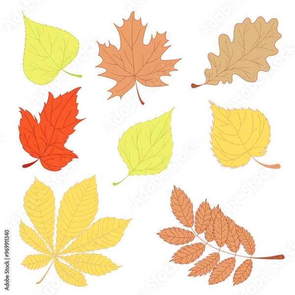 Obraz A set of multi-coloured leaves in a flat style. A colourful element of nature for design. Isolated plant object.