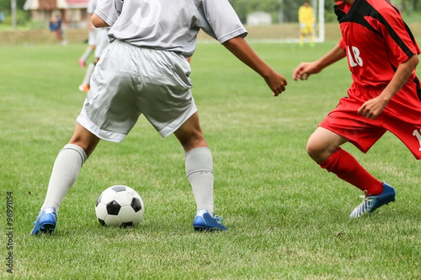 Fototapeta サッカー　フットボール