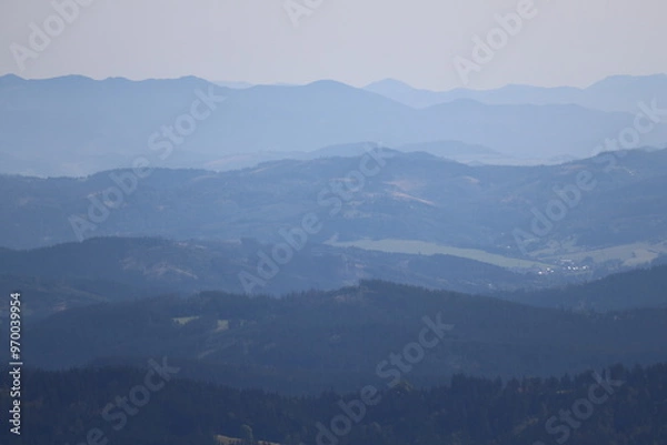 Fototapeta mountains in the fog
