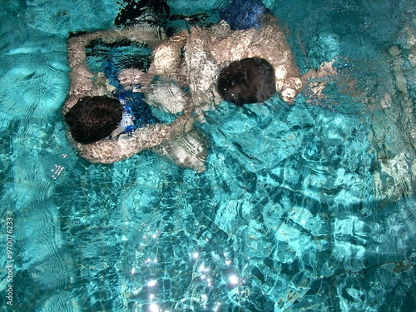 Obraz Schwimmbad