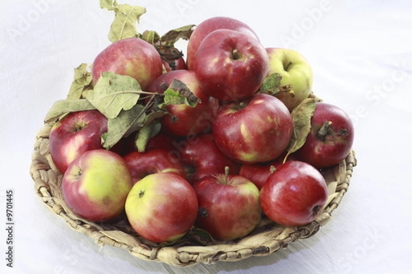 Obraz Äpfel in der Schale