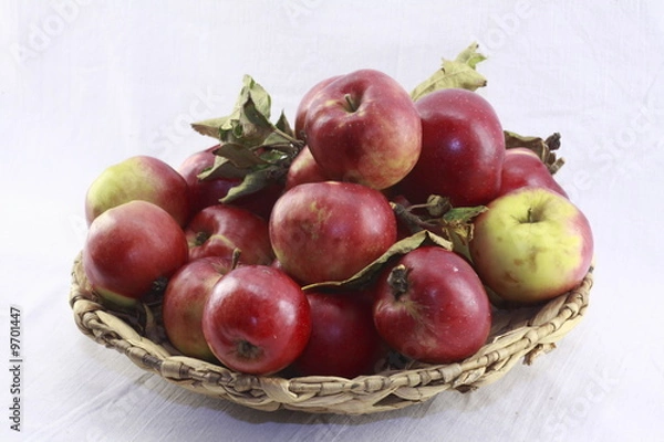 Obraz Apfel_Stilleben_1