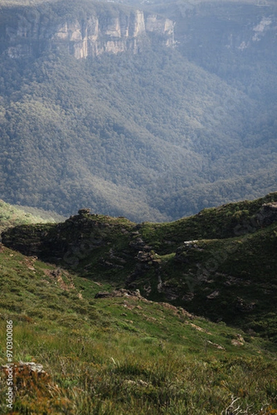 Fototapeta Looking down over a mountain valley in a forest