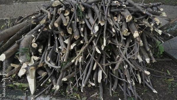 Fototapeta Several pieces of wood branches are placed in a pile on the ground
