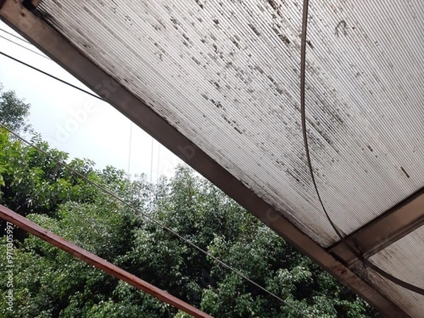 Obraz Trees in the city, Árboles en la ciudad 566