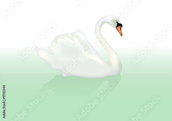 Obraz cygne