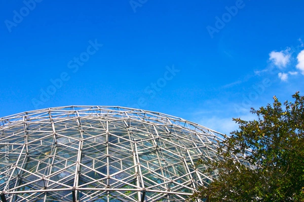 Obraz geodesic dome