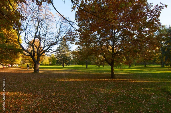 Fototapeta Осень