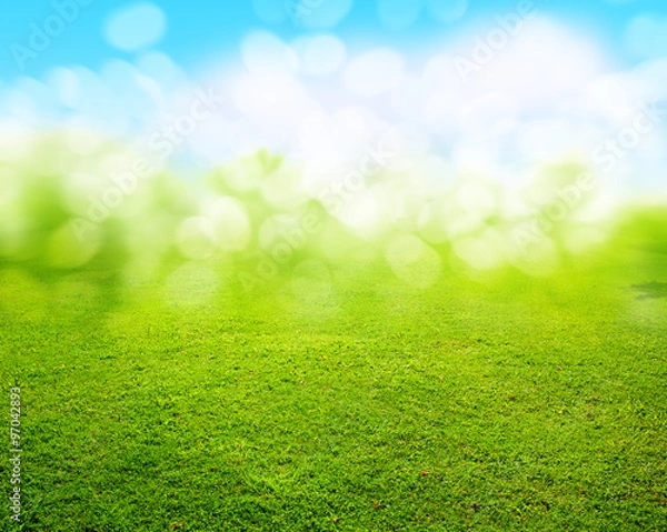 Fototapeta grass background