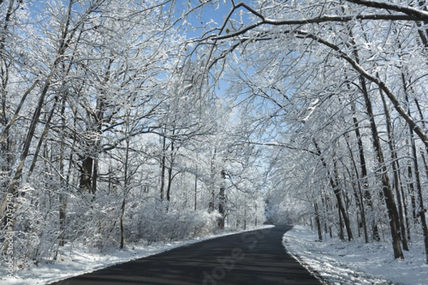 Fototapeta Snowy Winter Road Scene