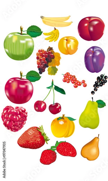 Obraz Fruits