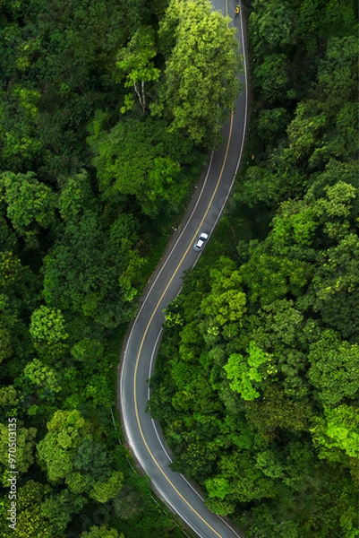 Obraz Road in the middle of the forest , road curve construction up to mountain, Rainforest ecosystem and healthy environment concept	