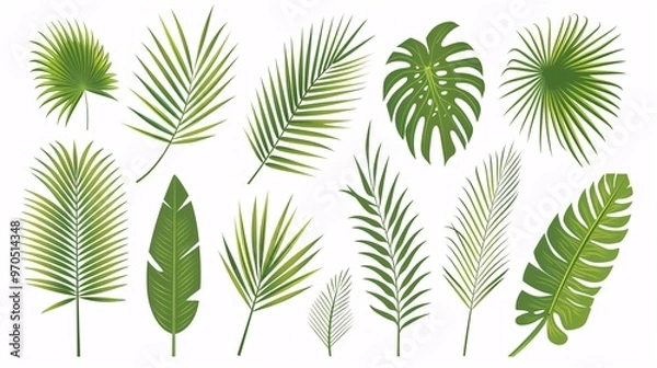 Fototapeta 1. A tropical leaves vector set featuring various Phoenix palm leaves isolated on a white background. The leaves are illustrated in a simple flat vector style, showcasing different shapes and sizes,