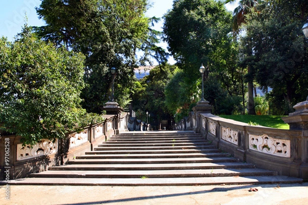 Obraz viale alberato