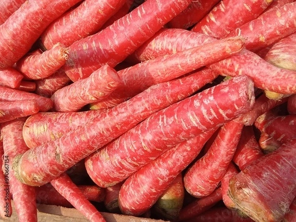 Fototapeta A pile of fresh red carrots