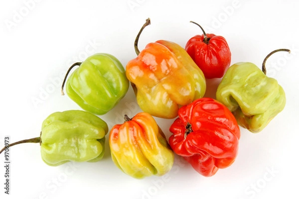 Obraz Piments Antillais