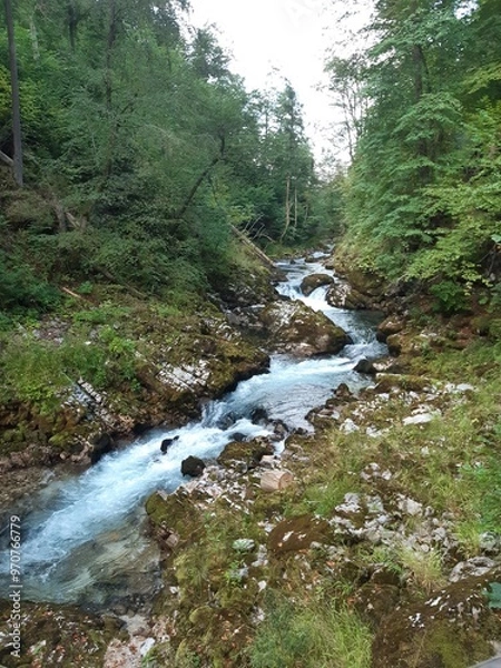 Obraz A stream in a forest in the mountains 1