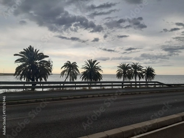 Obraz Palm trees on the road with the sea in the background