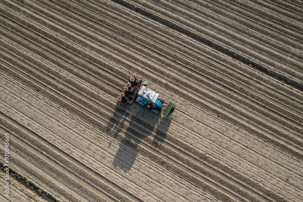 Fototapeta Tractor working on a plowed field from above