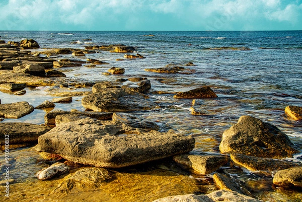 Obraz Каспийский берег